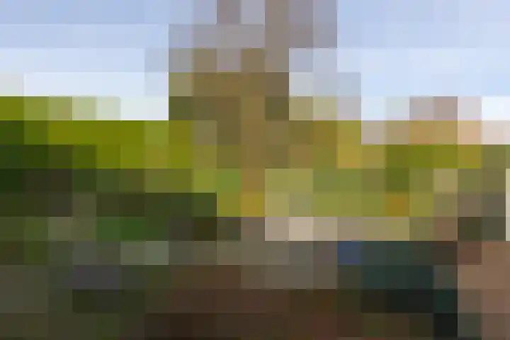 Bevrijdingslaan 69 Groenlo thumbnail 40