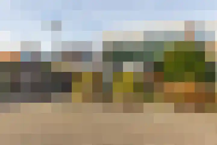Bevrijdingslaan 69 Groenlo thumbnail 45
