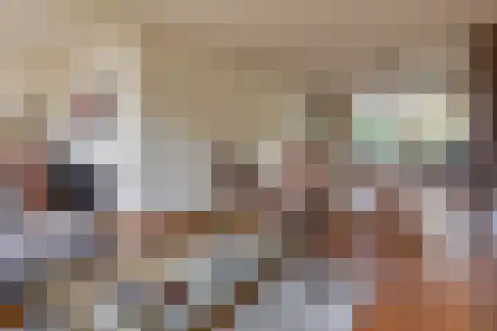 Bevrijdingslaan 69 Groenlo thumbnail 7