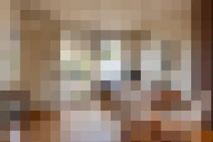 Bevrijdingslaan 69 Groenlo thumbnail 9