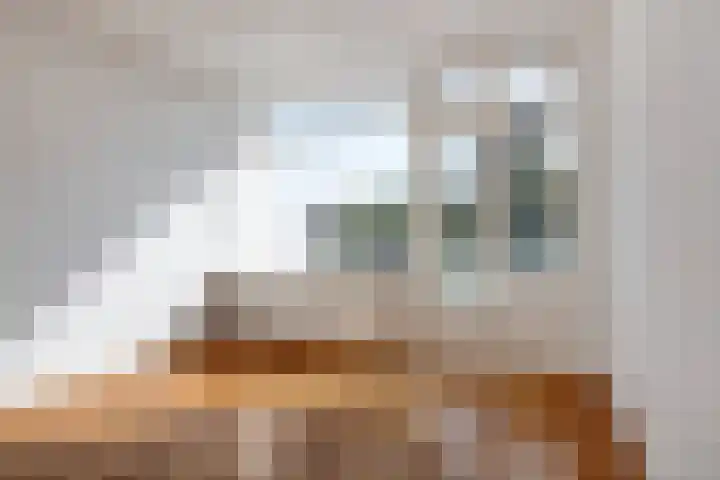 Bevrijdingsplein 15 Leiden thumbnail 11