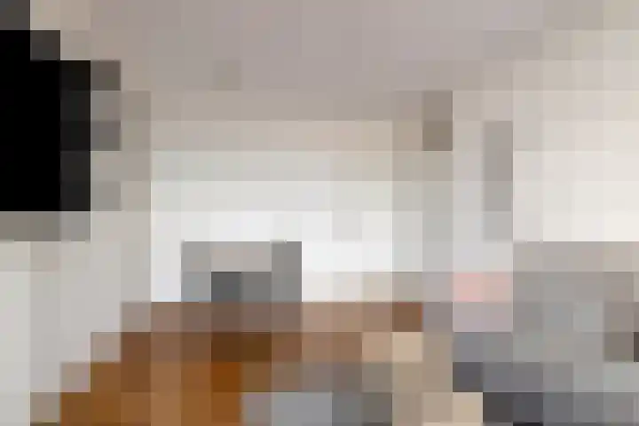 Bevrijdingsplein 15 Leiden thumbnail 5