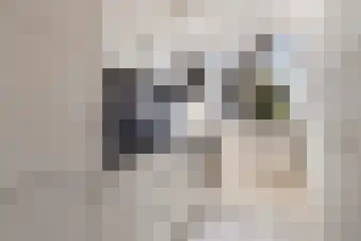 Bevrijdingsplein 15 Leiden thumbnail 8