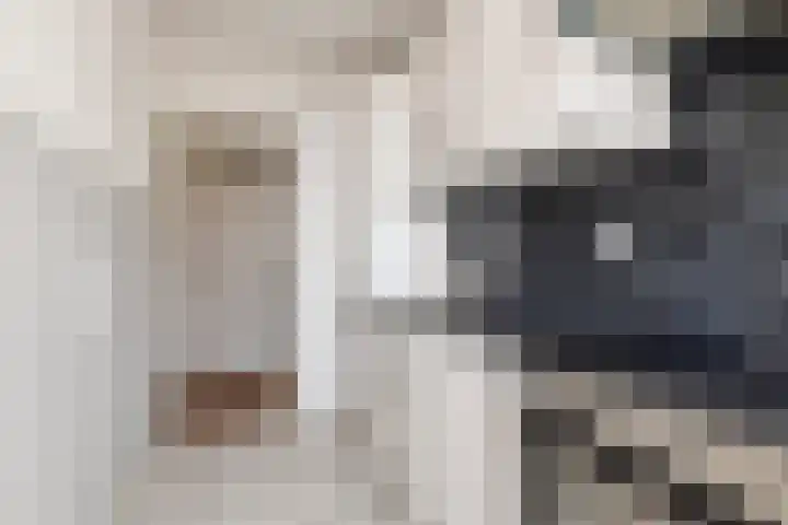 Bevrijdingsplein 15 Leiden thumbnail 9