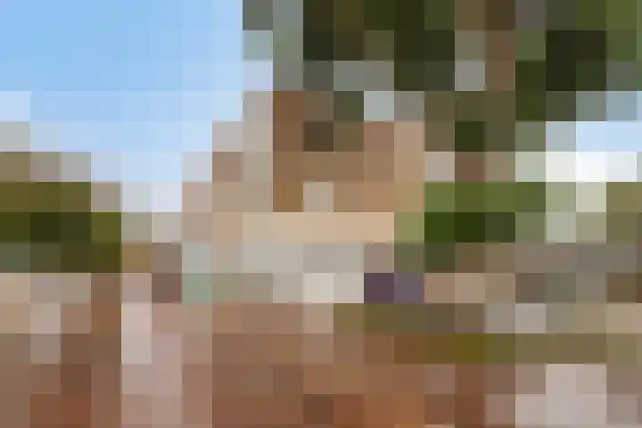 Bevrijdingsplein 26 Leiden thumbnail 24