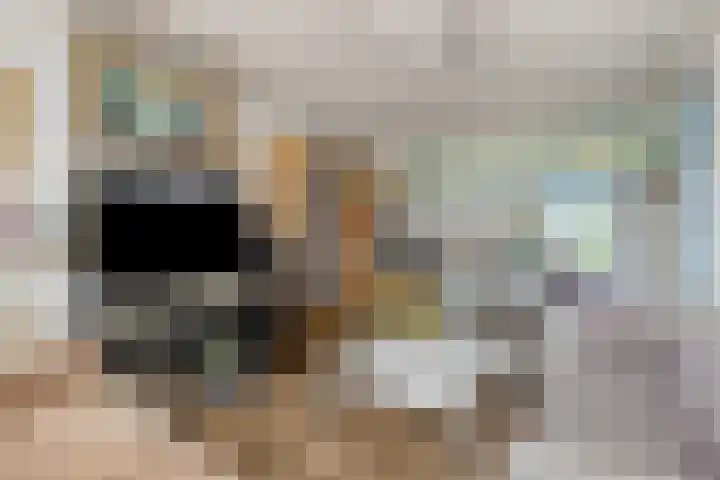 Bevrijdingsplein 26 Leiden thumbnail 8
