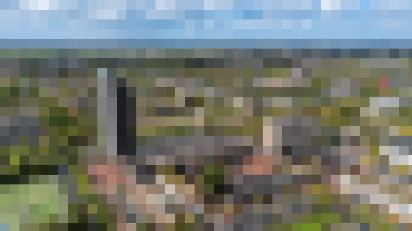 Bevrijdingsplein 40 Leiden thumbnail 34