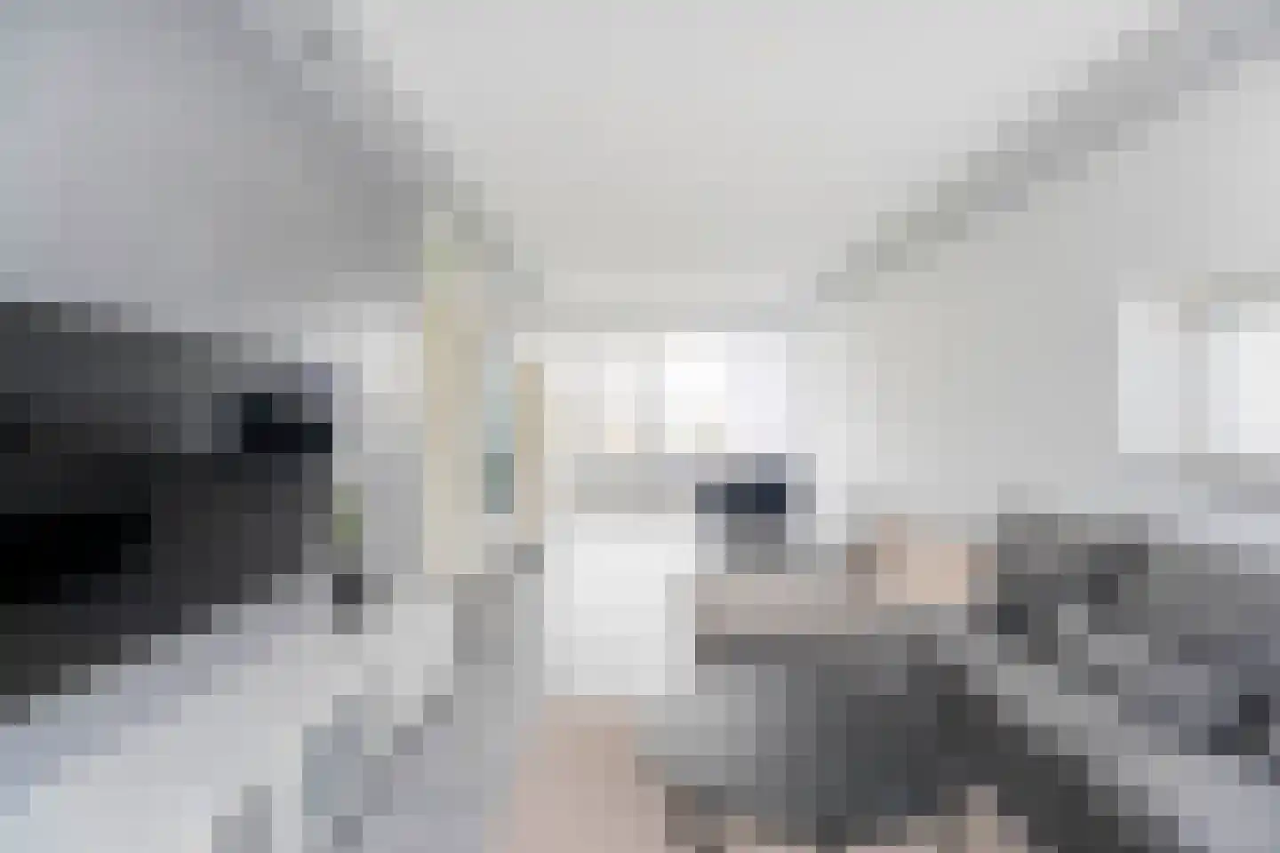 Bevrijdingsplein 47 Leiden thumbnail 4