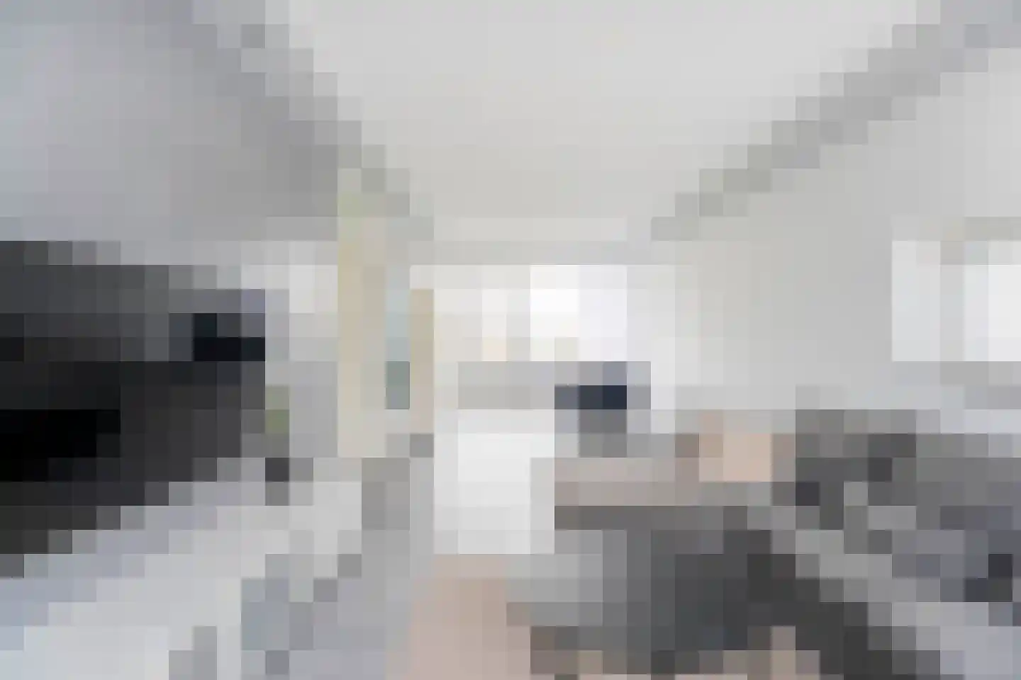 Bevrijdingsplein 47 Leiden thumbnail 4