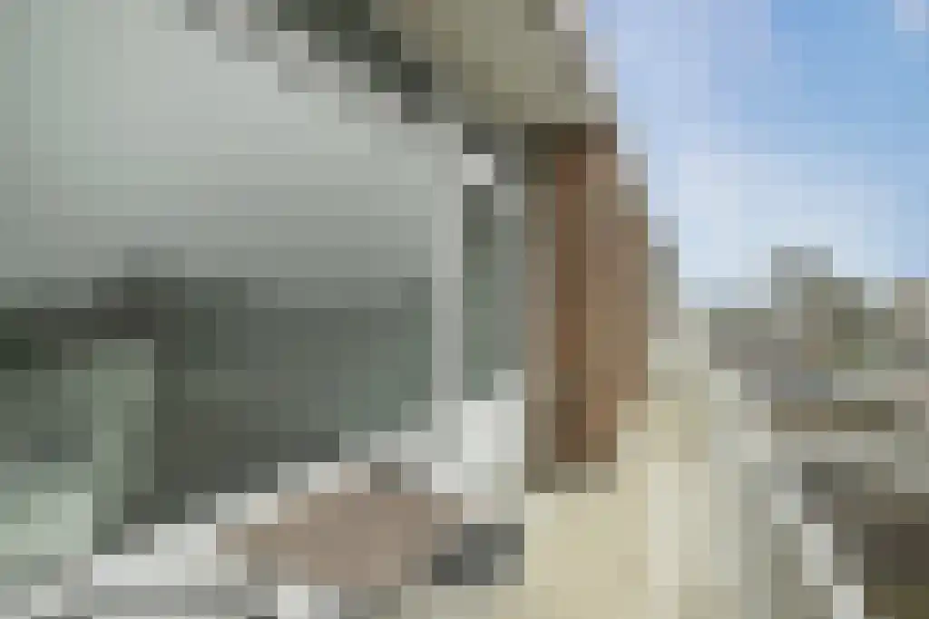 Bevrijdingsplein 47 Leiden thumbnail 6