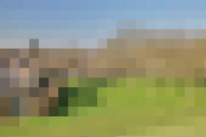 Bevrijdingssingel 15 Ochten thumbnail 10