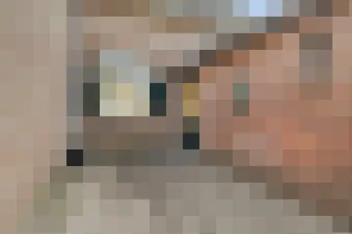 Bevrijdingssingel 15 Ochten thumbnail 22