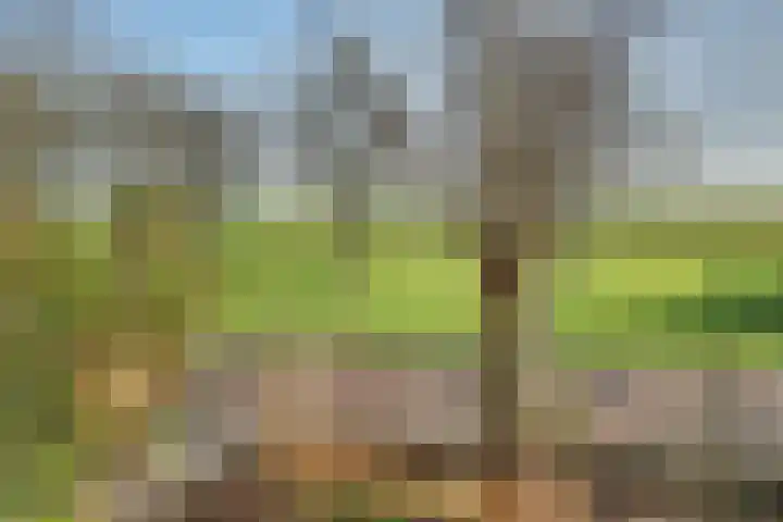 Bevrijdingssingel 15 Ochten thumbnail 29