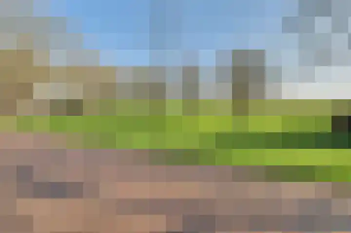 Bevrijdingssingel 15 Ochten thumbnail 63