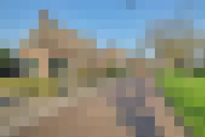 Bevrijdingssingel 15 Ochten thumbnail 7