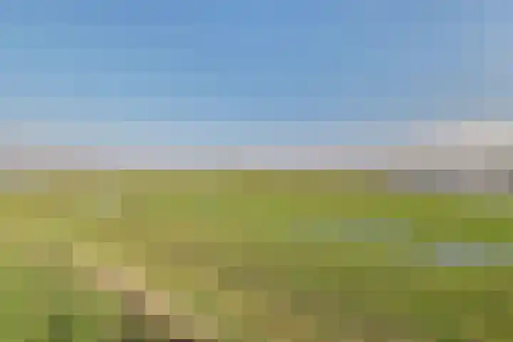 Bevrijdingssingel 15 Ochten thumbnail 9