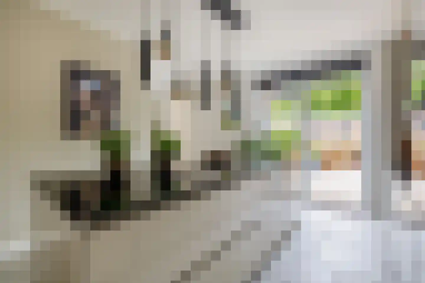 Bevrijdingsstraat 15 A Wageningen thumbnail 19