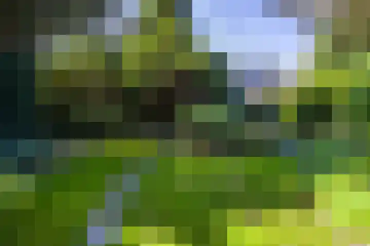 Bevrijdingsstraat 51 Weurt thumbnail 32