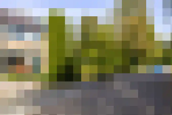 Bevrijdingsstraat 51 Weurt thumbnail 41