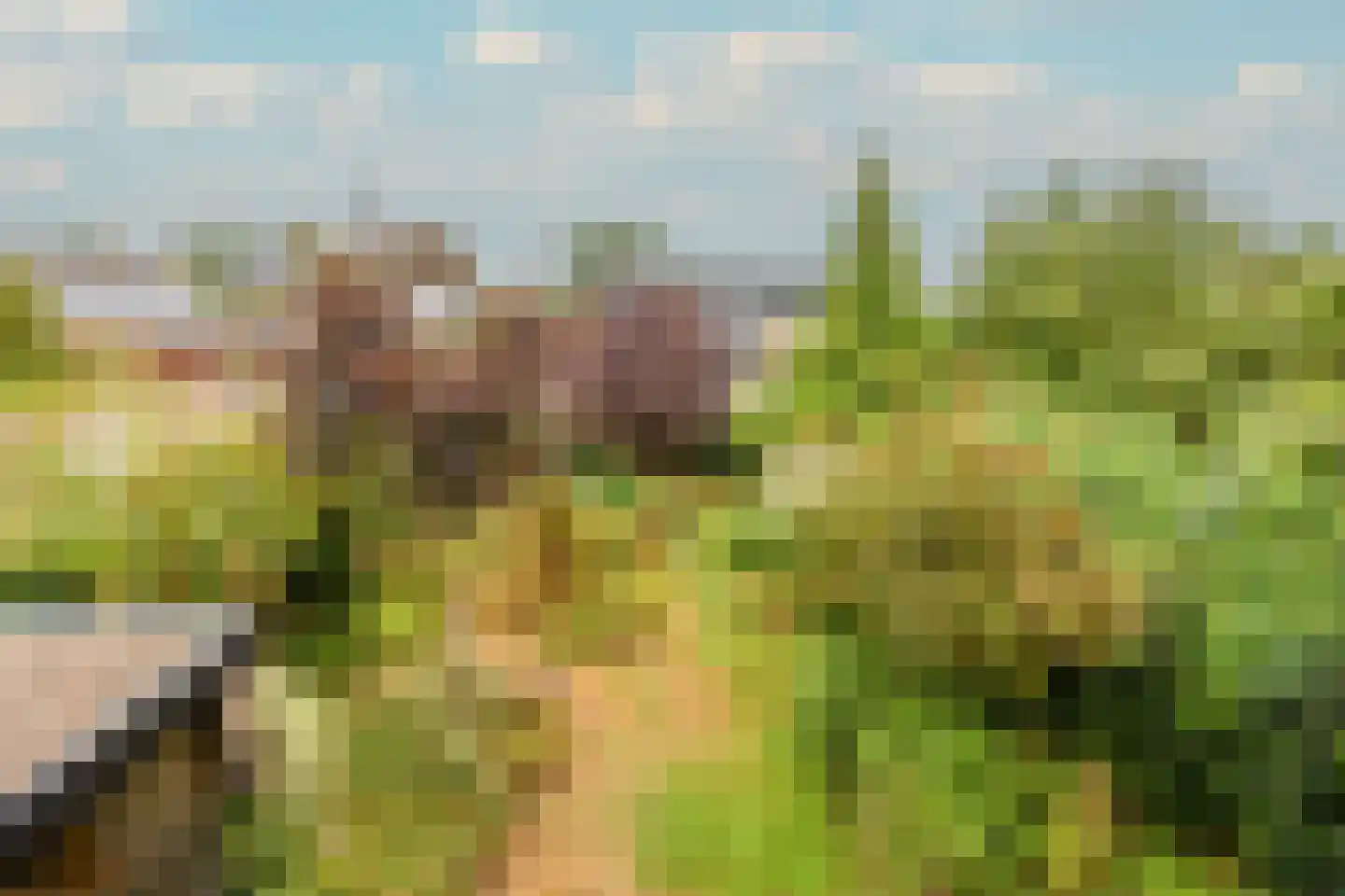 Bevrijdingsstraat 66 Weurt thumbnail 30