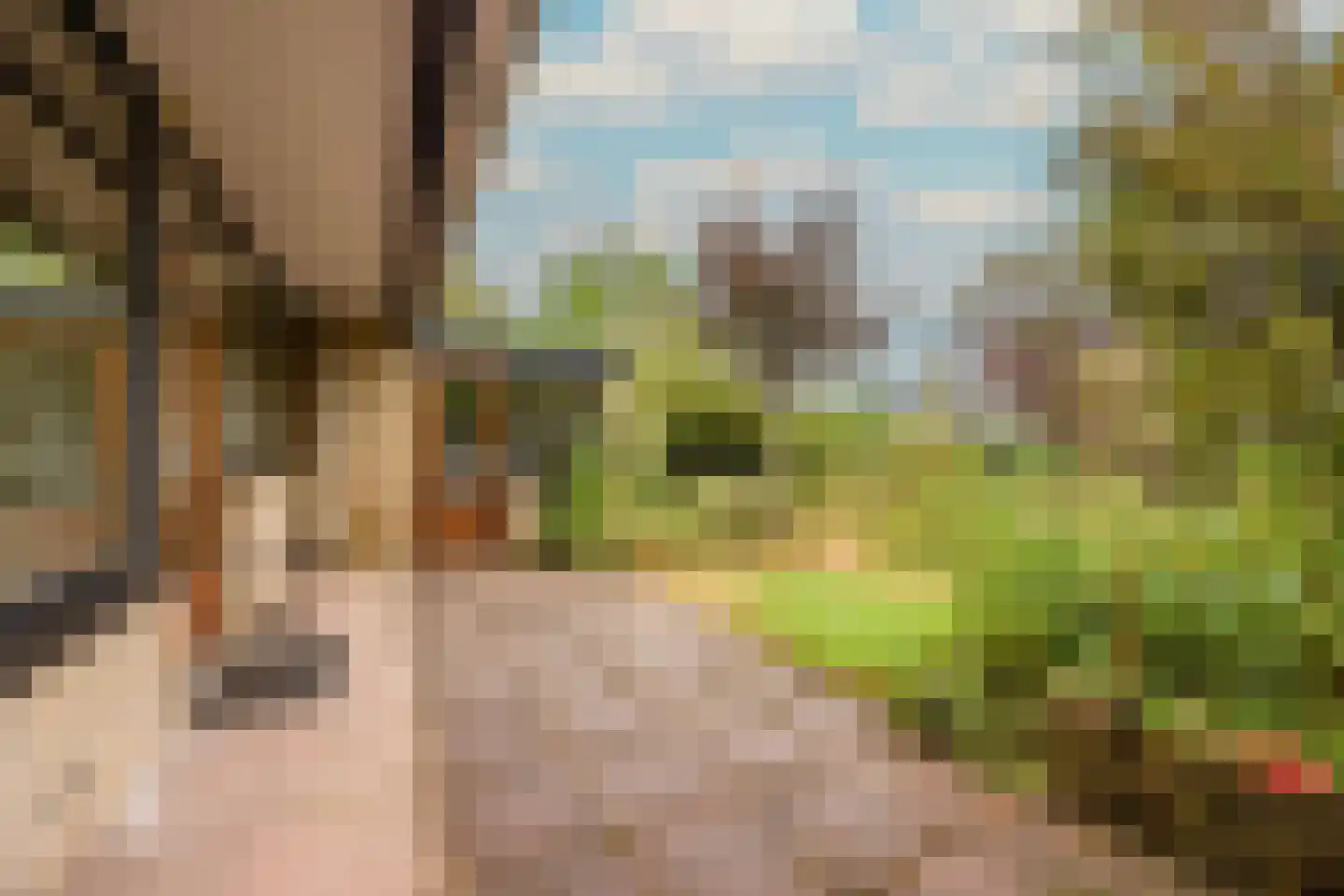 Bevrijdingsstraat 66 Weurt thumbnail 33