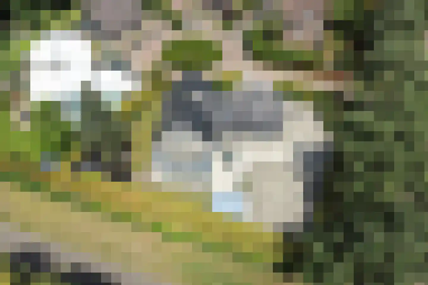 Bevrijdingstraat 10 Almere thumbnail 46