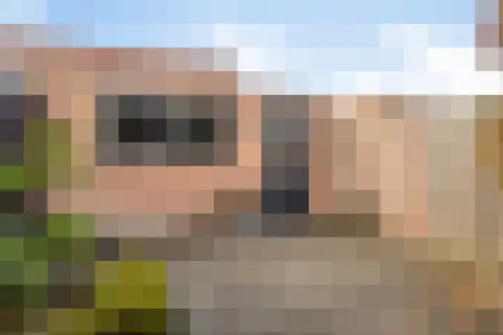 Bevrijdingstraat 15 Veldhoven thumbnail 25