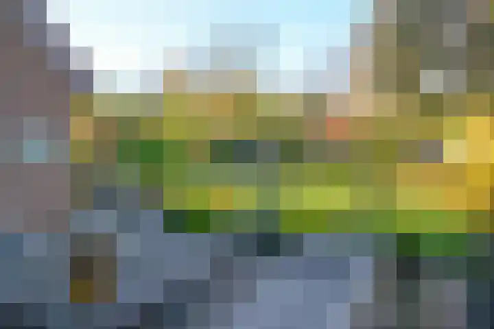 Bevrijdingstraat 4 Almere thumbnail 21