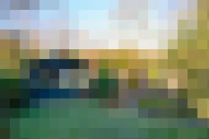 Bevrijdingstraat 4 Almere thumbnail 25