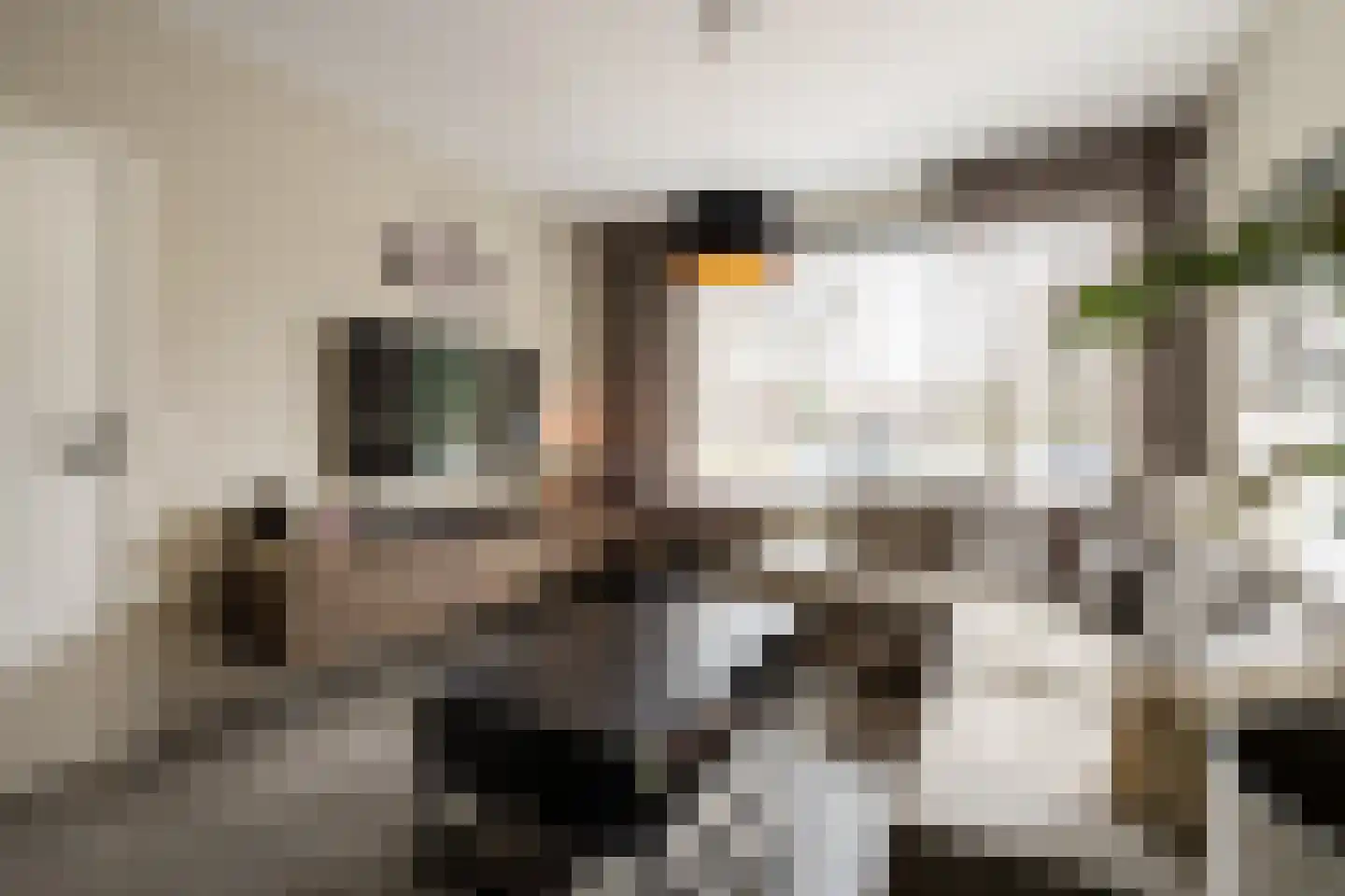 Bevrijdingstraat 42 Ossendrecht thumbnail 5
