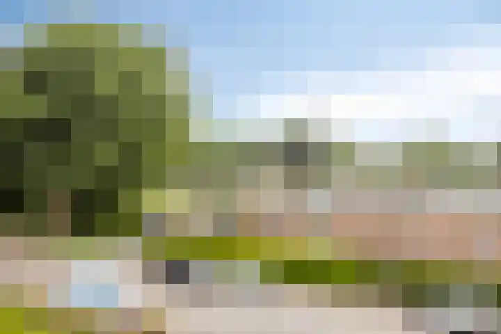 Bevrijdingstraat 5 Veldhoven thumbnail 30