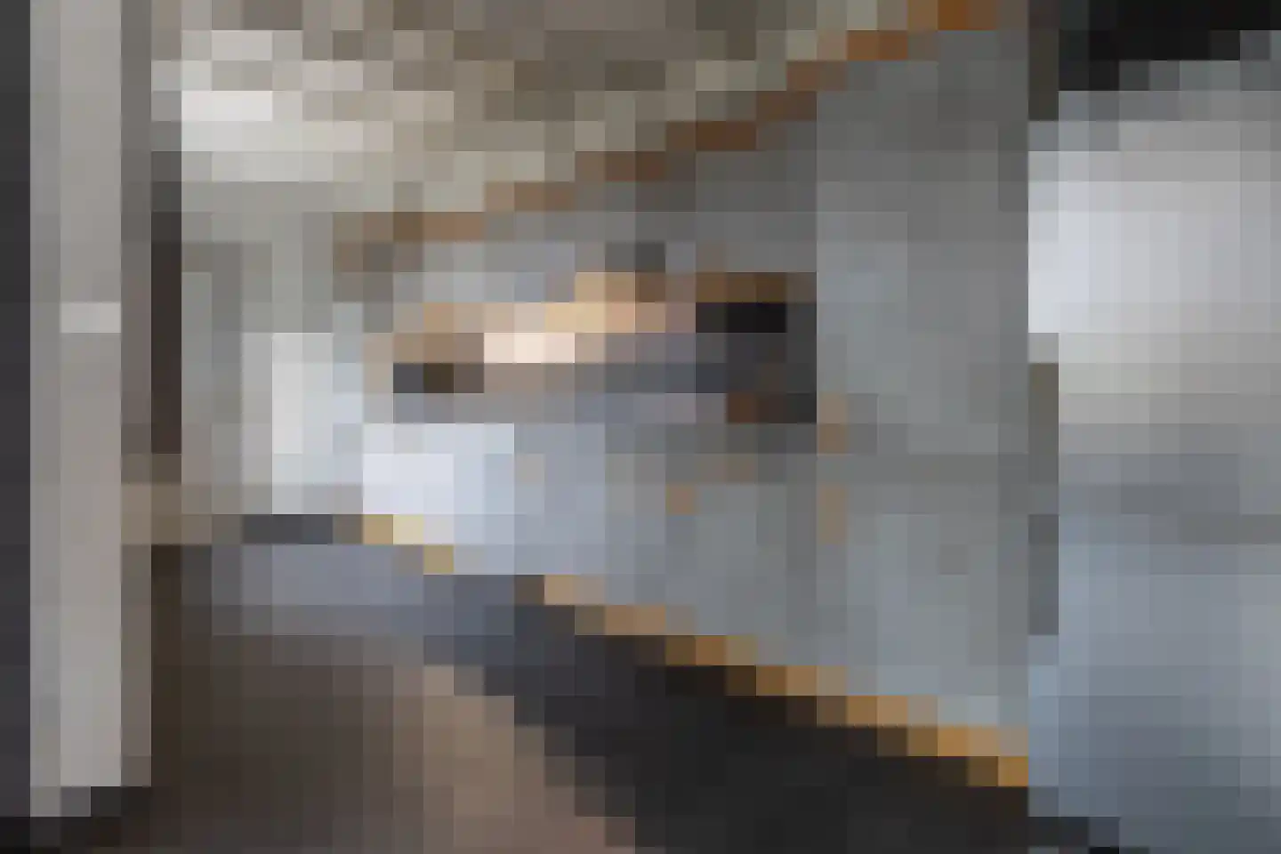 Bevrijdingstraat 64 Ossendrecht thumbnail 6