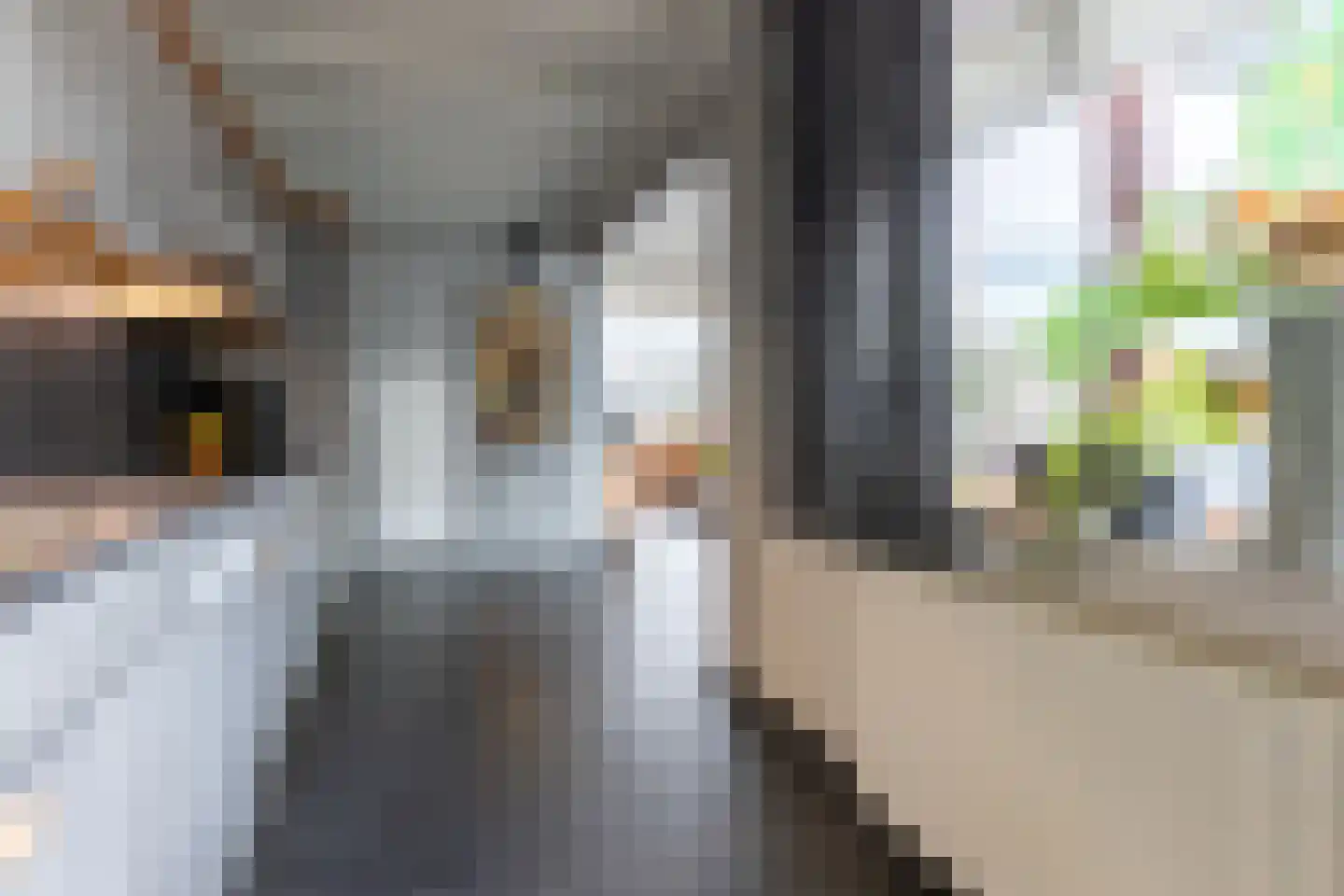 Bevrijdingstraat 64 Ossendrecht thumbnail 8