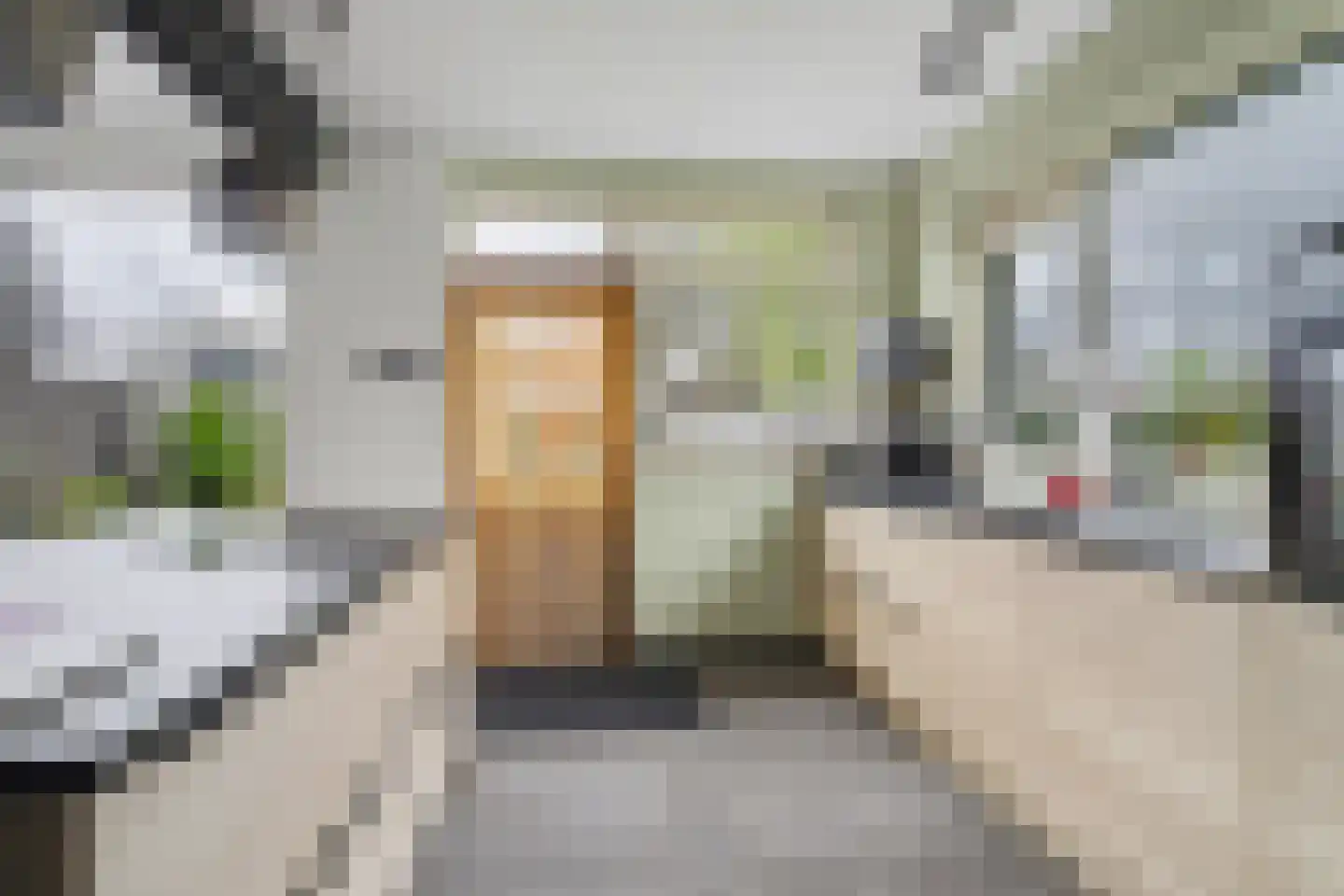 Bevrijdingstraat 74 Ossendrecht thumbnail 9