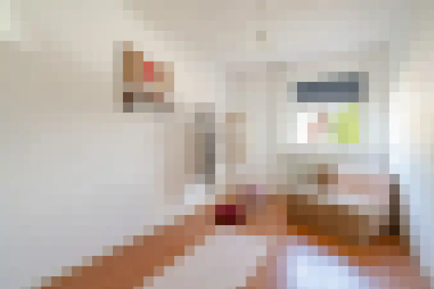 Bevrijdingsweg 20 Amersfoort thumbnail 22