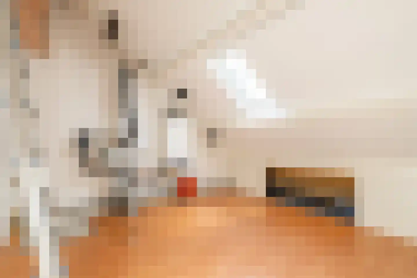 Bevrijdingsweg 20 Amersfoort thumbnail 39