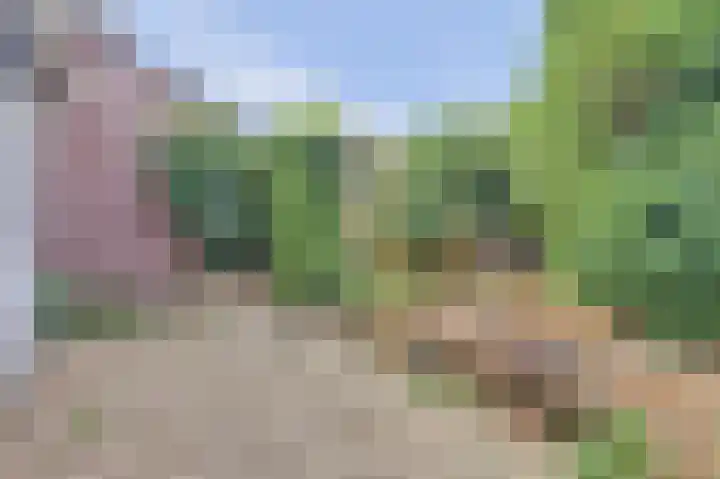 Bevrijdingsweg 27 Amersfoort thumbnail 22