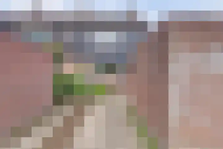 Bevrijdingsweg 27 Amersfoort thumbnail 26