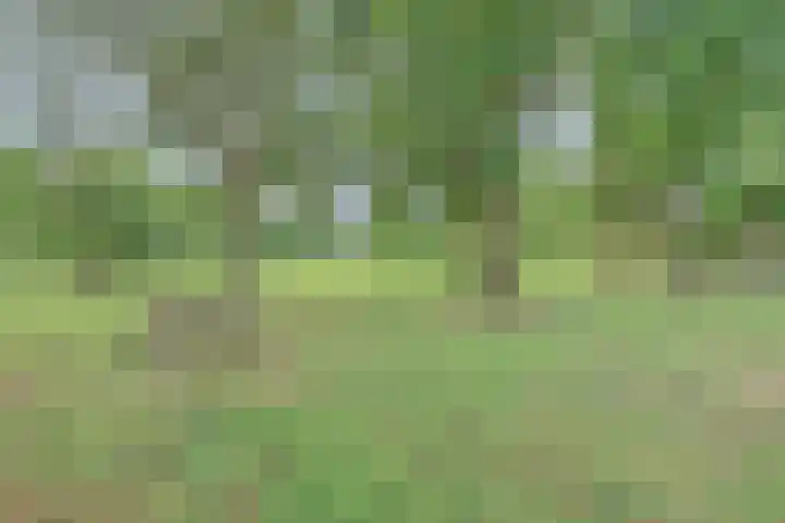 Bevrijdingsweg 27 Amersfoort thumbnail 29