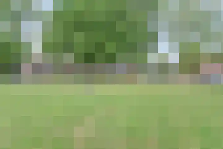 Bevrijdingsweg 27 Amersfoort thumbnail 30