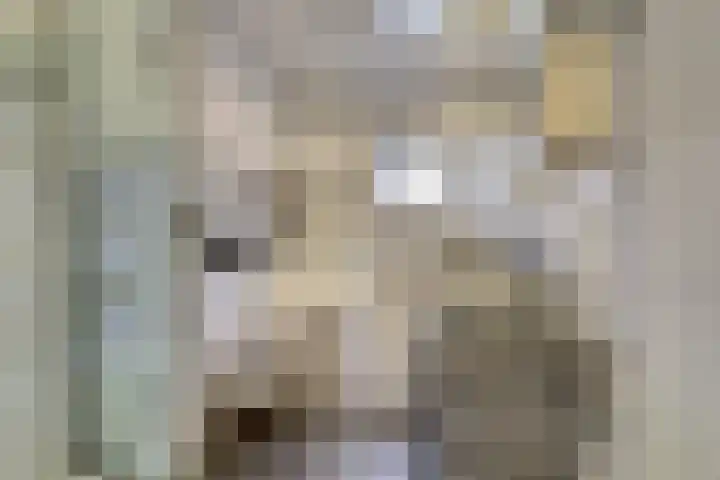 Bevrijdingsweg 30 Venlo thumbnail 17