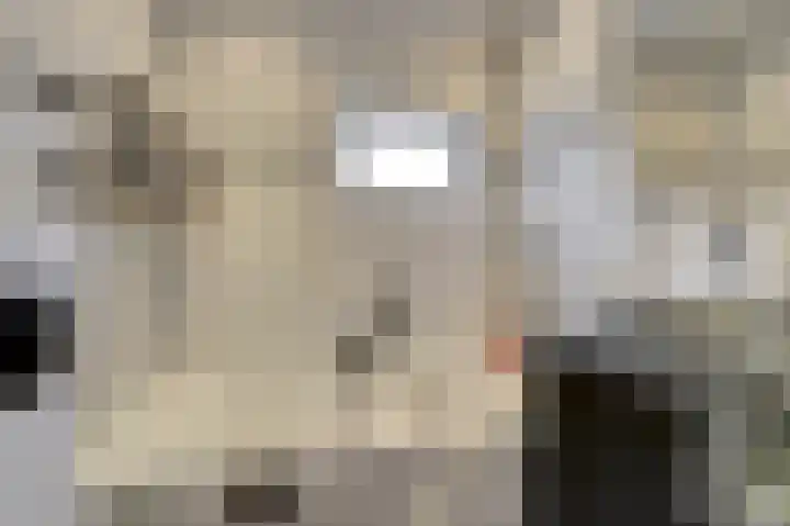 Bevrijdingsweg 30 Venlo thumbnail 18