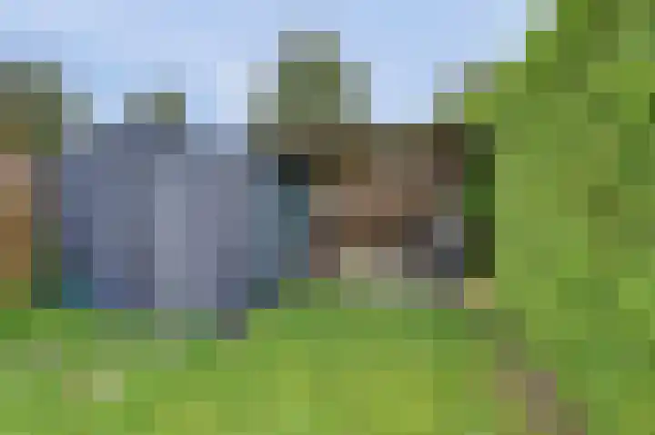 Bevrijdingsweg 30 Venlo thumbnail 29
