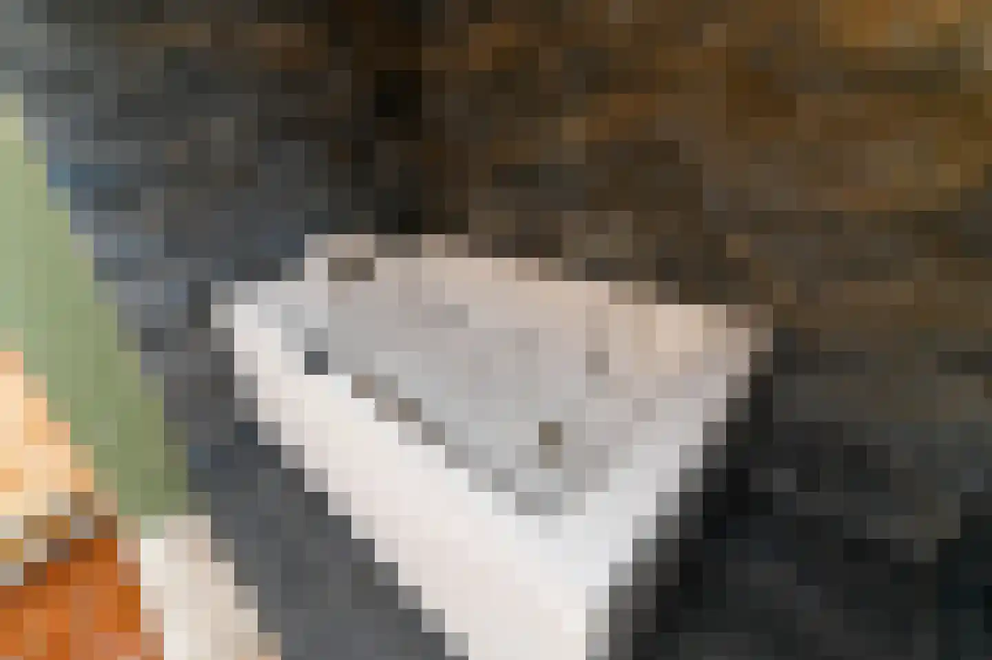 Bevrijdingsweg 36 Venlo thumbnail 5