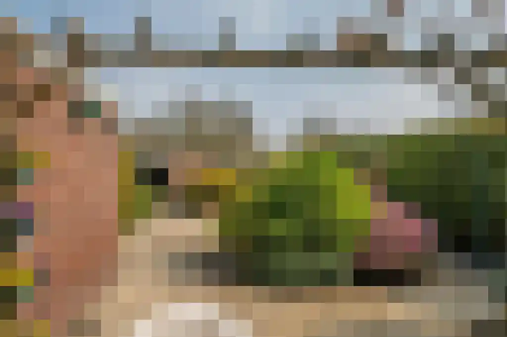 Bevrijdingsweg 5 Venlo thumbnail 37