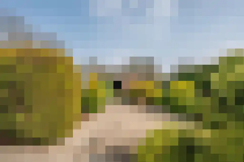 Bevrijdingsweg 5 Venlo thumbnail 39