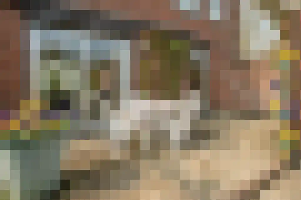 Bevrijdingsweg 5 Venlo thumbnail 8
