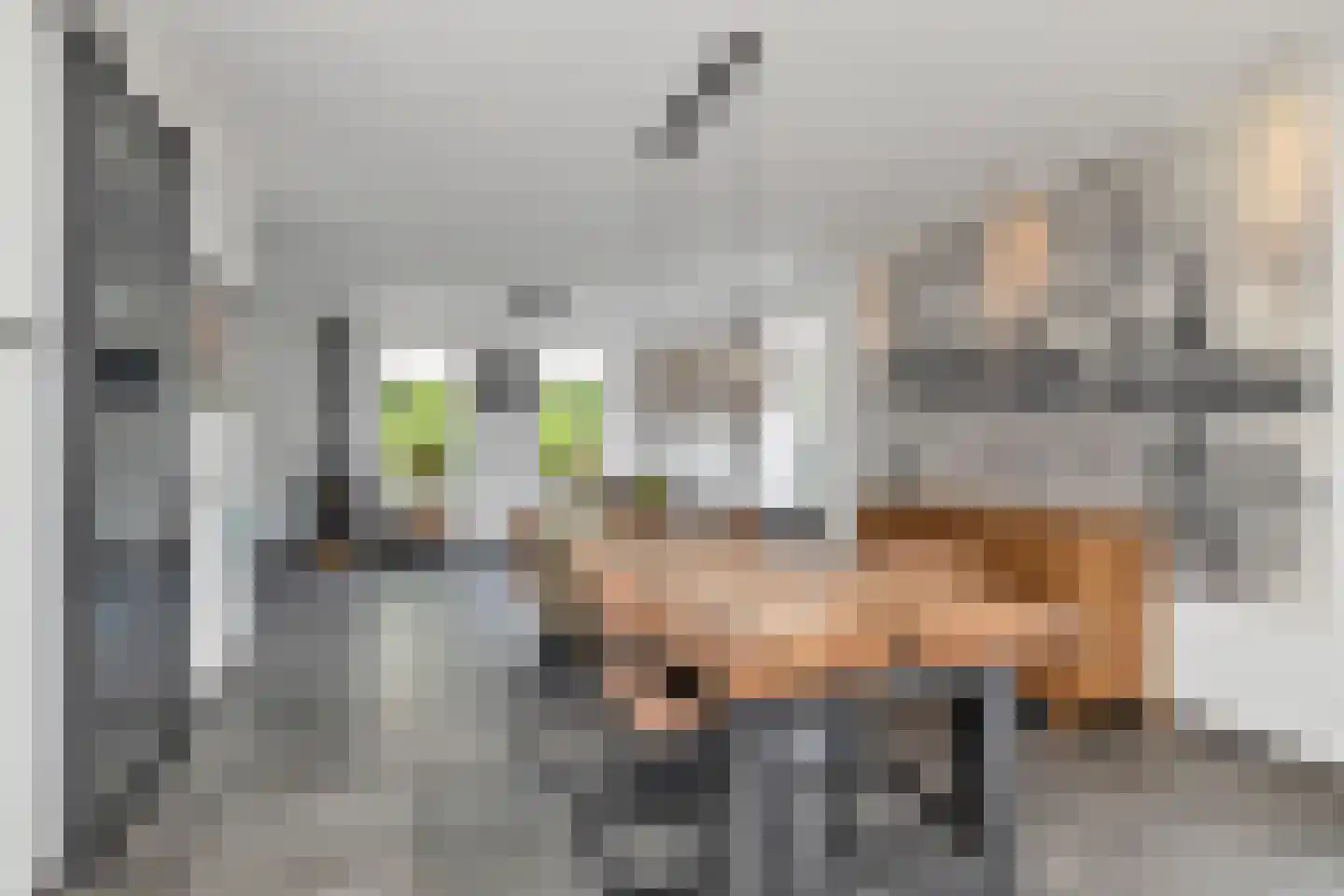 Bewestenwege 27 's-Heer Arendskerke thumbnail 14