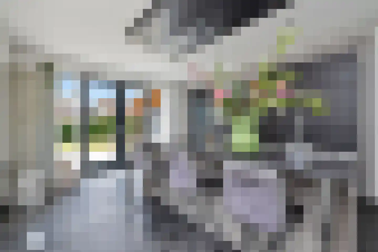 Bewestenwege 27 's-Heer Arendskerke thumbnail 19