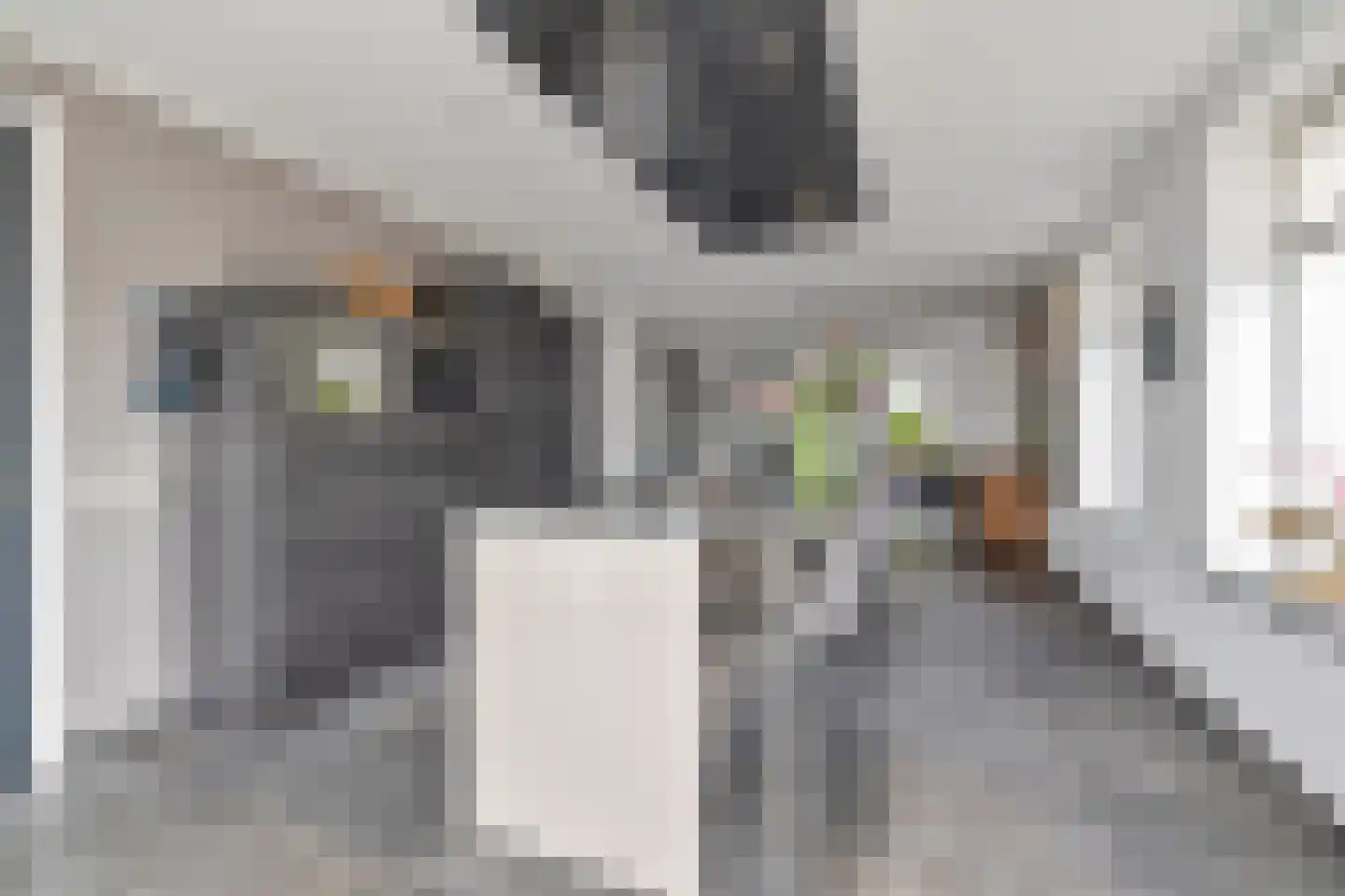 Bewestenwege 27 's-Heer Arendskerke thumbnail 21